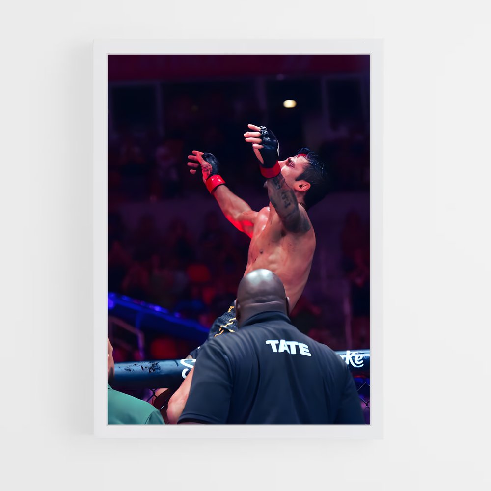 Poster Alexandre Pantoja – affiche MMA (vue 3)